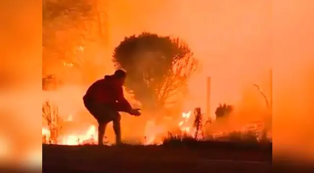 Joven arriesgó su vida para salvar a conejo