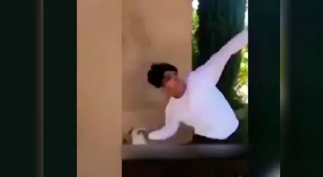 Indignante maltrato contra gatito Indignante maltrato contra gatito