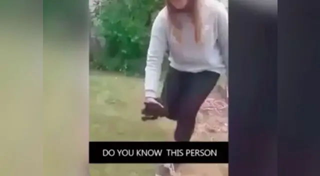 Jóvenes asesinan a pedradas a unos gatitos Jóvenes asesinan a pedradas a unos gatitos