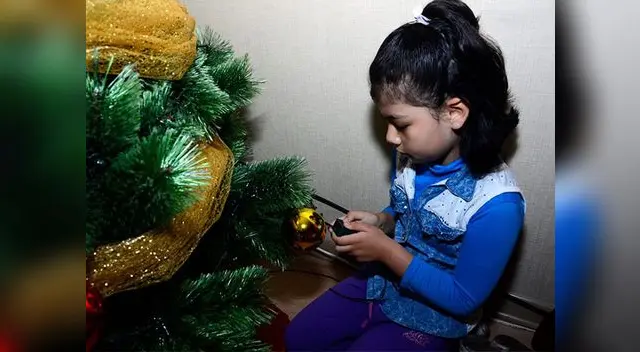 Evite adornar los árboles exteriores Evite adornar los árboles exteriores