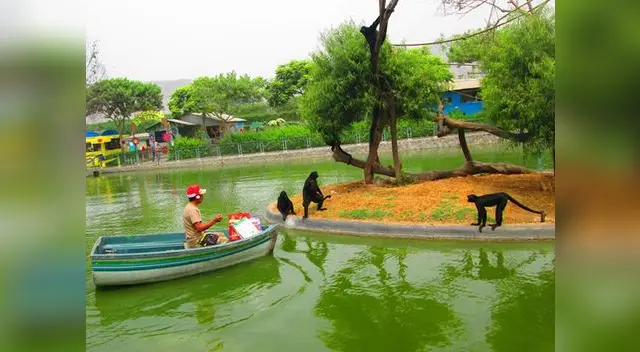 Navidad en el zoológico de Huachipa