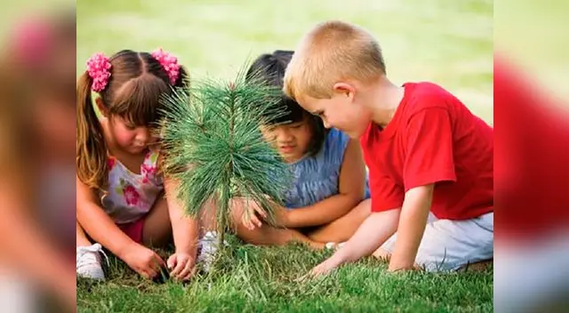 Eenséñale a cuidar, amar y respetar a todos los animales