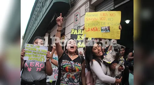 Protestan en contra del maltrato animal. Foto: Flavio Matos Protestan en contra del maltrato animal. Foto: Flavio Matos