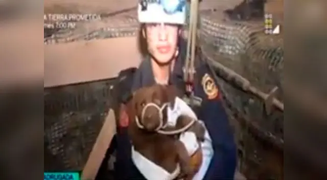  Perrito fue rescatado de forado de 15 metros por efectivos policiales 