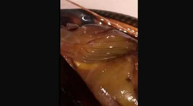 Pescado fue regresado al mar tras haber estado a punto de ser cocinado