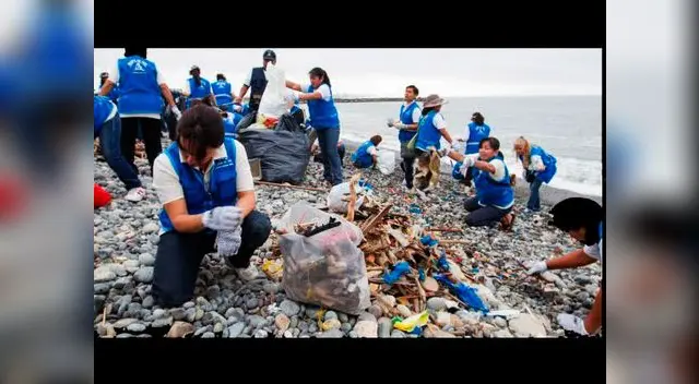 Voluntarios en pleno trabajo