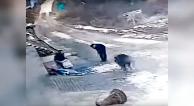 Brutal ataque de un jabalí deja inconsciente a dos personas