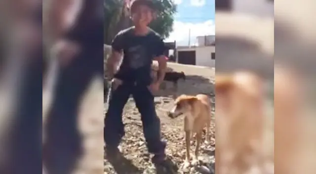 Niño que baila con su perrito 'Scooby Doo PaPá' es el nuevo viral 