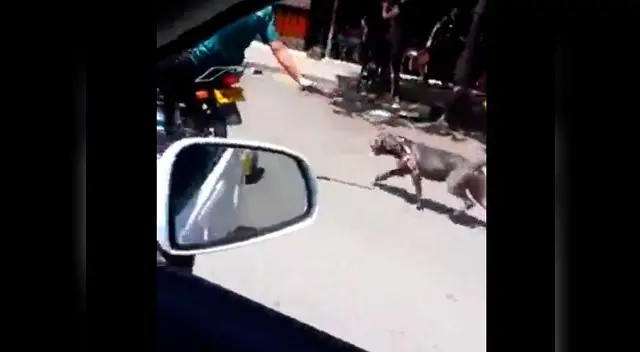  Perro es arrastrado por la calle por un motociclista en Colombia