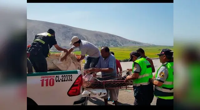 El vehículo, de placa B9Y-956 y perteneciente a la empresa Rey Latino