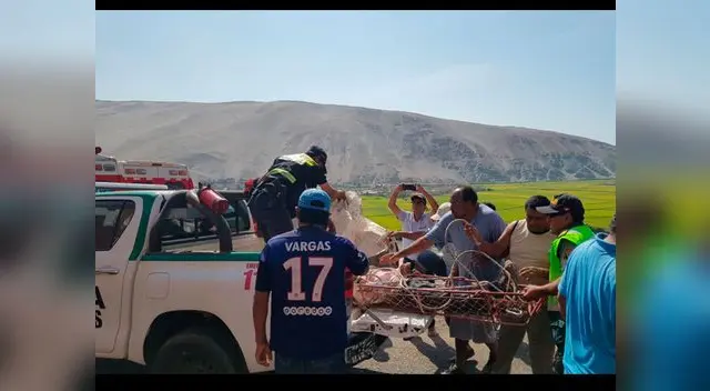 Se dispuso que se instale un puente aéreo para trasladar a los más graves