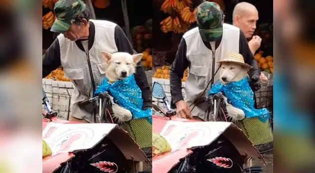 Abuelito que protege a su perrito de la lluvia enternece las redes sociales 