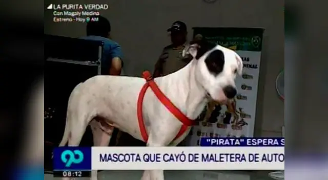 "Piarata" conmovió a los peruanos