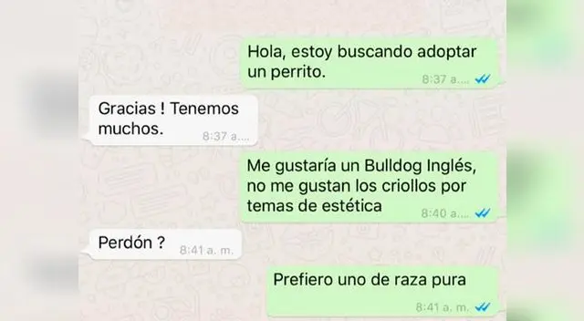 Rescatista dio épica troleada a posible adoptante Rescatista dio épica troleada a posible adoptante