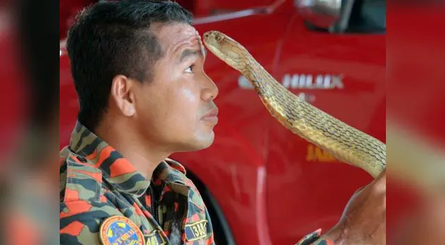 Falleció famoso domador de serpientes Falleció famoso domador de serpientes