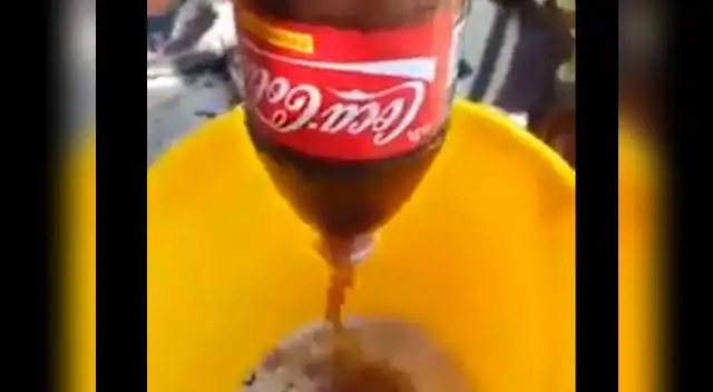  Hallan un roedor en botella de Coca Cola