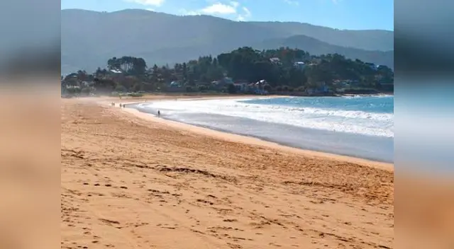 Extrañas criaturas son captadas en una playa de Tailandia