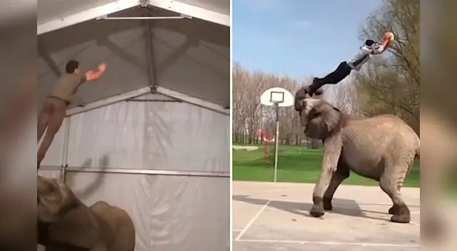 Acróbata realiza espectaculares maniobras