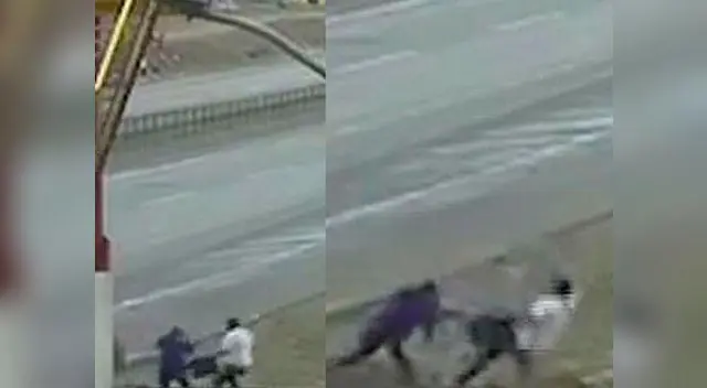 Mujer no tuvo temor de enfrentarse a delincuente Mujer no tuvo temor de enfrentarse a delincuente