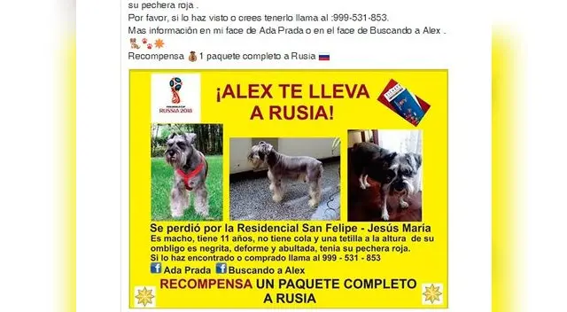 Mensaje en Facebook de recompensa para ir a Rusia 2018
