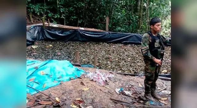 La PNP destruyó laboratorios de cocaína en el Vrae