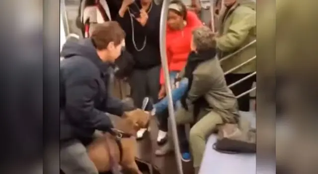 Pitbull muerde a una mujer dentro de un metro Pitbull muerde a una mujer dentro de un metro