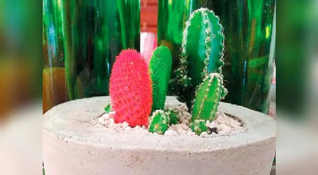 Elabora tus propias macetas con cemento