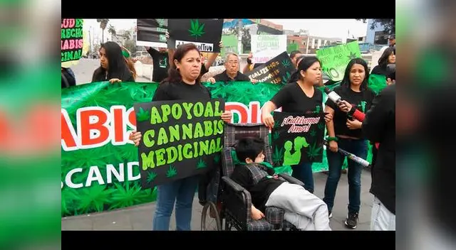Marcha por la marihuana con fines medicinales este 5 de mayo