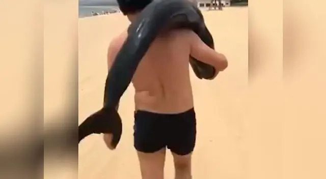 Hombre encuentra un delfín varado en la playa y su decisión sorprende a todos Hombre encuentra un delfín varado en la playa y su decisión sorprende a todos