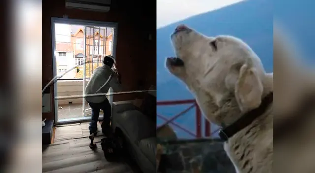 El Perú es uno de los países con mayor actividad sísmica en el mundo