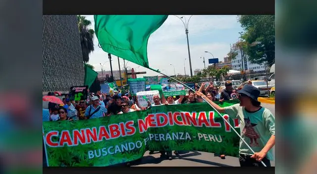Minsa publicó reglamento para el uso medicinal del cannabis