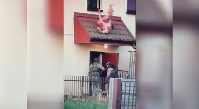 Hombre intenta escapar de la Policía, pero se entrega al caer por la ventana Hombre intenta escapar de la Policía, pero se entrega al caer por la ventana