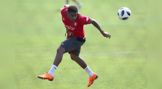 La foquita en pleno trabajo de definición La foquita en pleno trabajo de definición