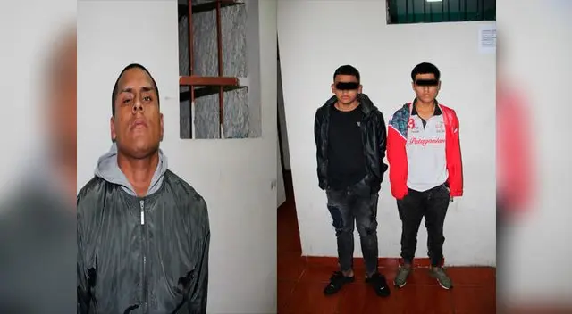 Los detenidos son investigados por Depincri-Bellavista