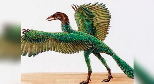 las aves modernas descendieron de las sobrevivientes. las aves modernas descendieron de las sobrevivientes.