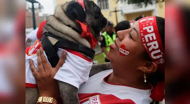 Estos curiosos perros le darán suerte a la selección Estos curiosos perros le darán suerte a la selección