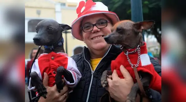 La dueña de estos perros llamados "calatitos" alienta la selección peruana La dueña de estos perros llamados "calatitos" alienta la selección peruana