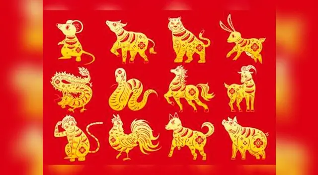 Conoce tu destino Conoce tu destino