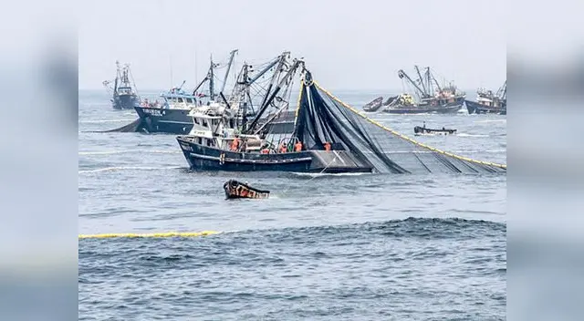 Ministerio Público investiga a empresa de buque chino que contaminó mar peruano Ministerio Público investiga a empresa de buque chino que contaminó mar peruano