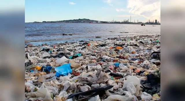 ONU insta a dejar de usar bolsas de plástico para proteger el medio ambiente 