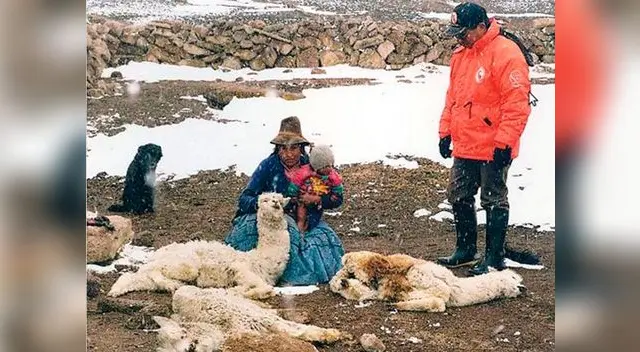 La población y animales sufren la inclemencia de la naturaleza La población y animales sufren la inclemencia de la naturaleza
