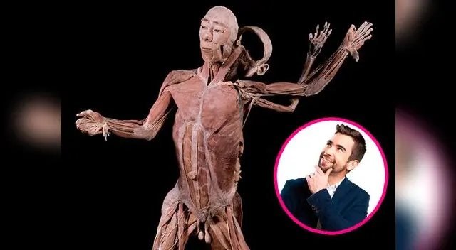 La exposición más completa para conocer el funcionamiento del cuerpo La exposición más completa para conocer el funcionamiento del cuerpo