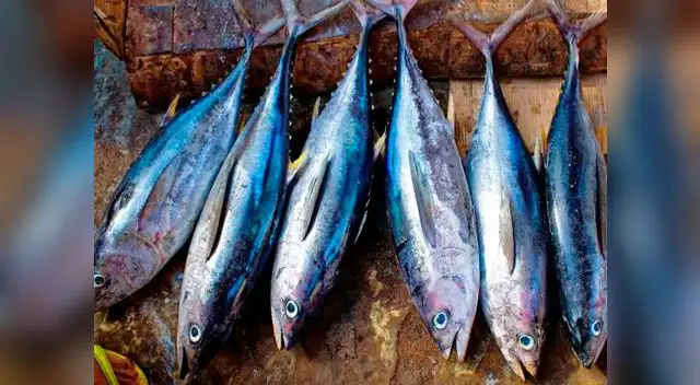 El ejercicio físico intenso genera inflamación, el cual puede ser contrarrestado consumiendo pescado azul rico en omega 3