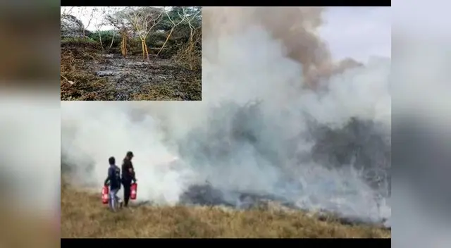 Incendio fue controlado por los bomberos