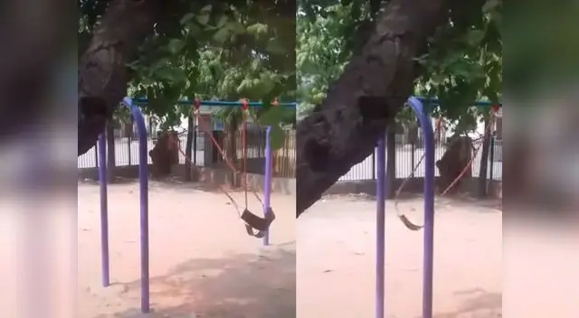 Columpio fantasma'se mueve por sí solo y asusta a autor de clip Columpio fantasma'se mueve por sí solo y asusta a autor de clip