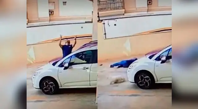Hombre salva la vida de perro cuando este caía desde un noveno piso Hombre salva la vida de perro cuando este caía desde un noveno piso