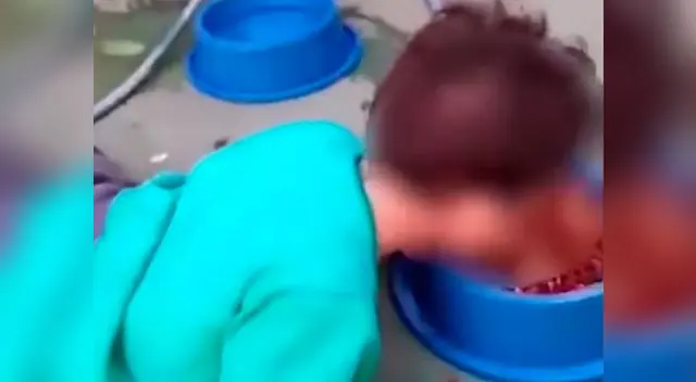 Madre obliga a su hijo discapacitado a comer comida para perro