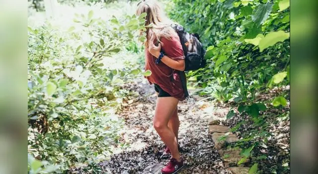 Lleva el calzado ideal según el tipo de viaje planeado