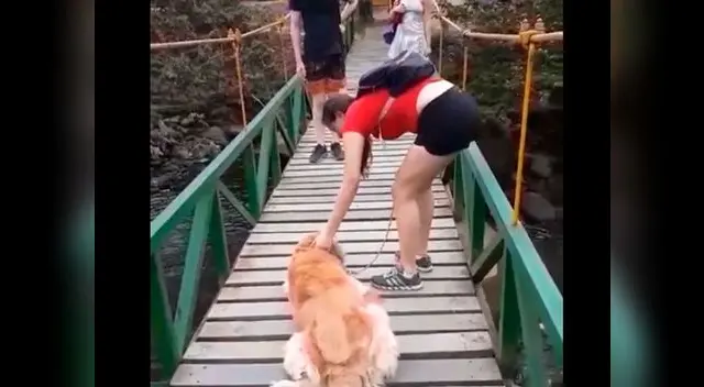 Actitud de dueña con su mascota enternece en las redes sociales