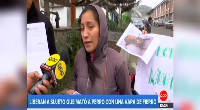 liberaron a hombre que mató a fierrazos a perro liberaron a hombre que mató a fierrazos a perro